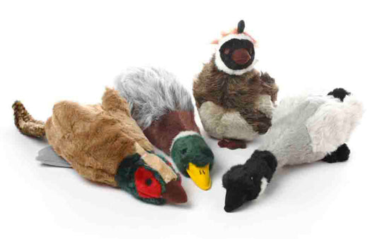 Assorted, 1ea/LG
