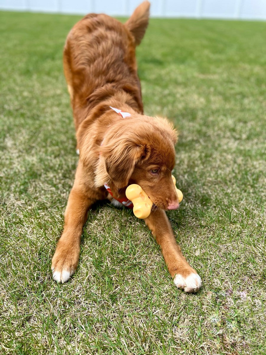 Cheese Bone, Cheese, 1ea/Large/Giant (1 ct)