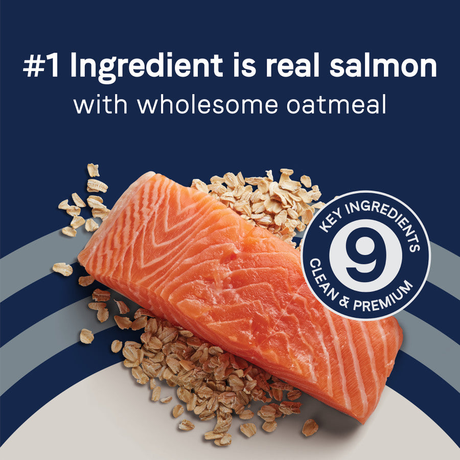 Salmon & Oatmeal, 1ea/24 lb