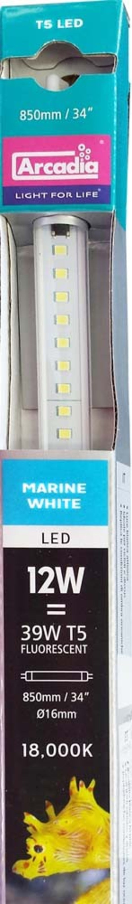 Marine White, 1ea/34 in