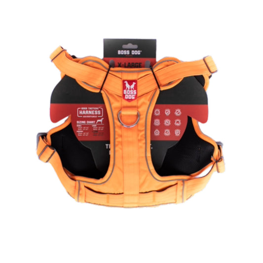 Hunter Orange, 1ea/XL