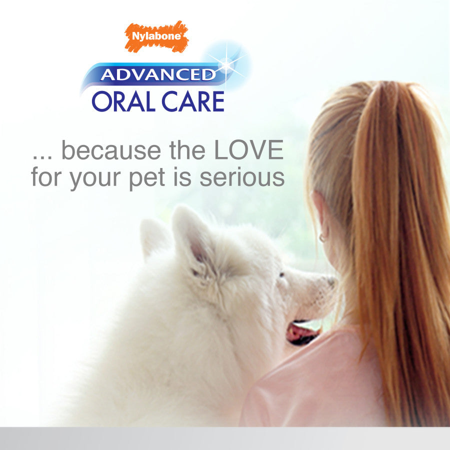 Original, Peanut Butter, 1ea/Dog (3 ct)