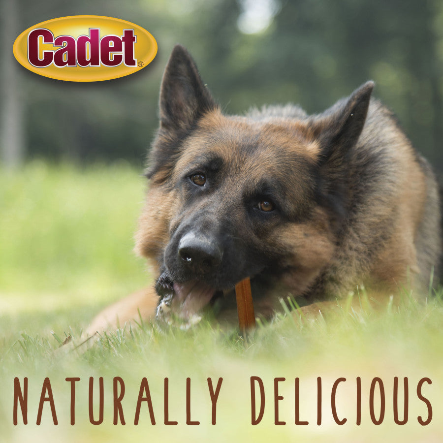 Regular, Bully Sticks, 1ea/6 oz