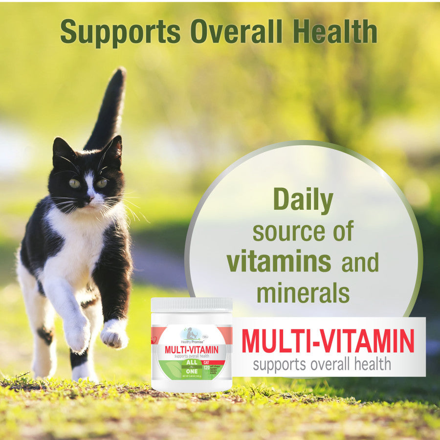 Multivitamin, 1ea/120 ct