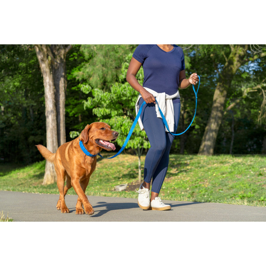 3/4in wide, Black, 1ea/MD