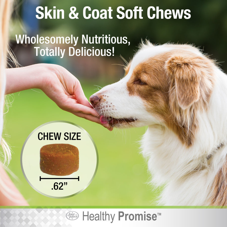 Skin and Coat, 1ea/90 ct