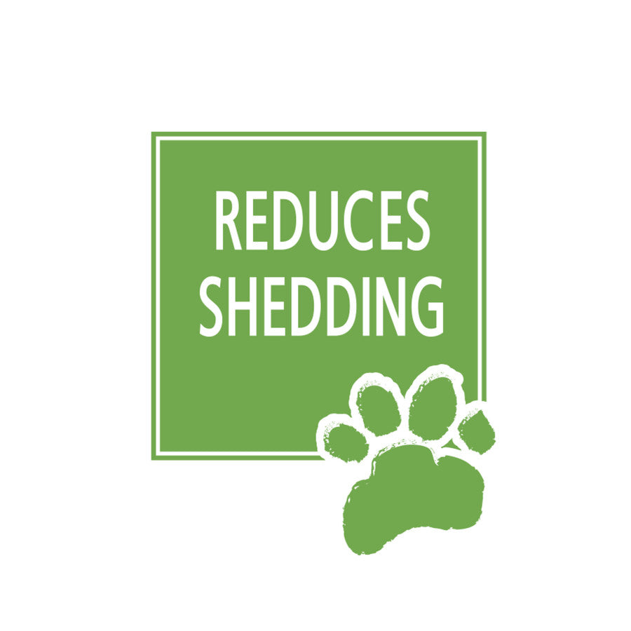 Reduces Shedding Dog Shampoo, 1ea/16 oz (1 ct)