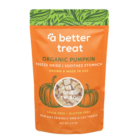 USDA Organic Pumpkin, 1ea/1 oz