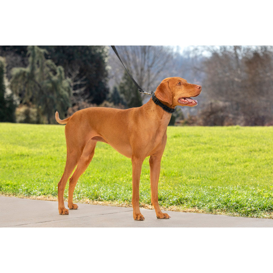 3/4in wide, Black, 1ea/MD