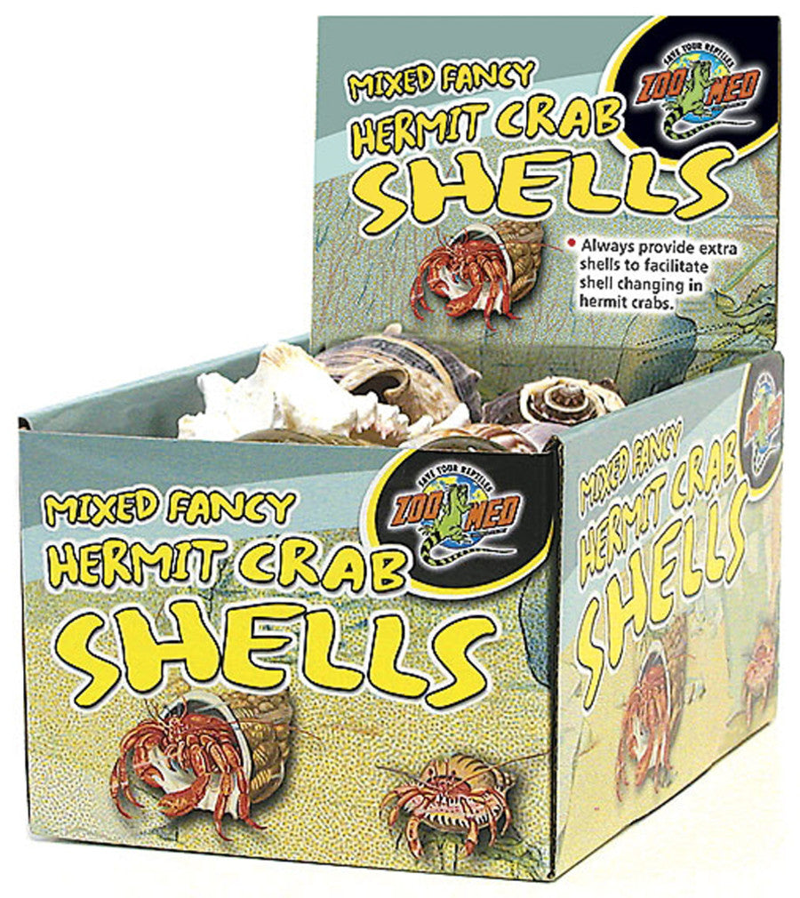 Fancy Shell, Assorted, 24ea/1 pk