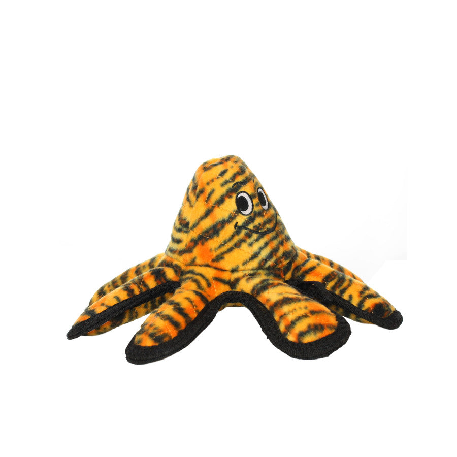 Orange Tiger, 1ea/12 in, SM