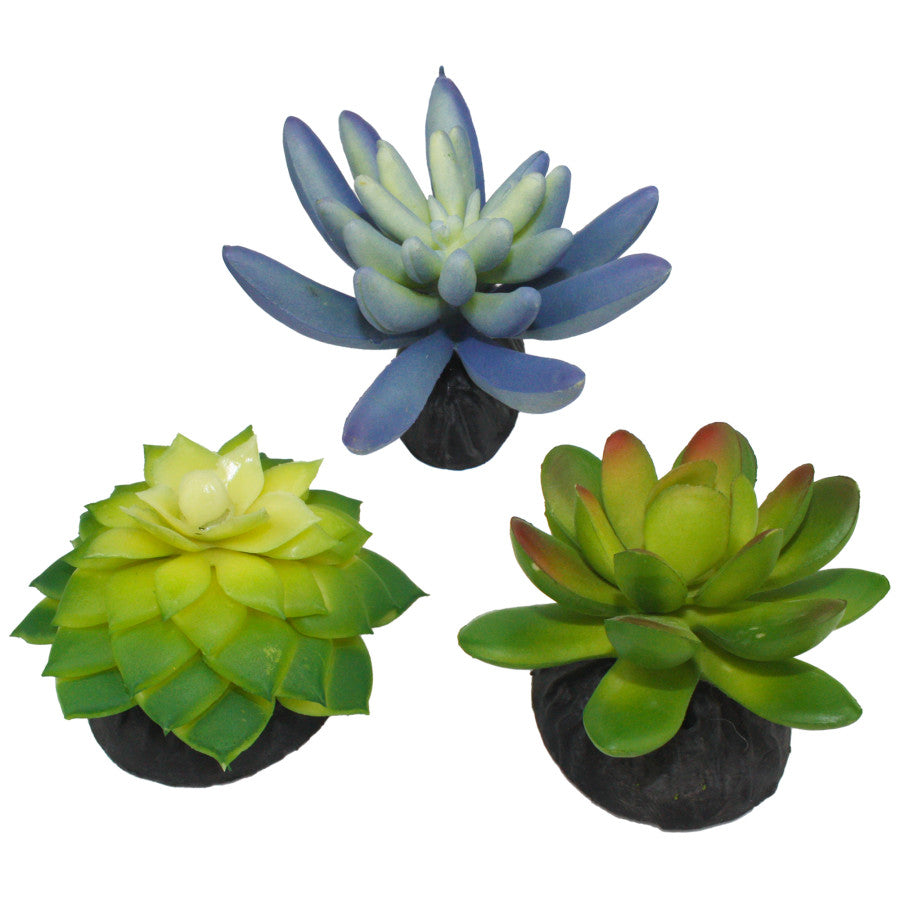 Blue & Green, 1ea/3 pk