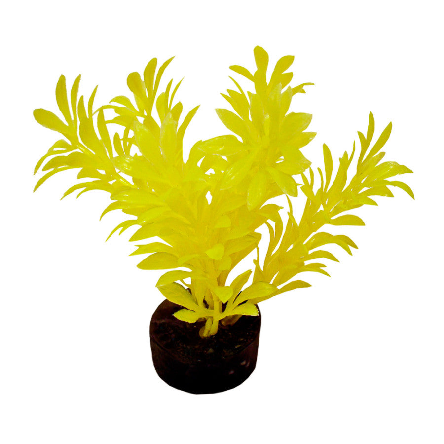 Neon Yellow, 1ea/4 in