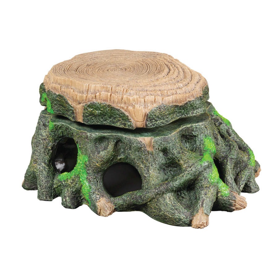 Turtle Trunk, 1ea/11.75 X 9.5 X 5.25 in