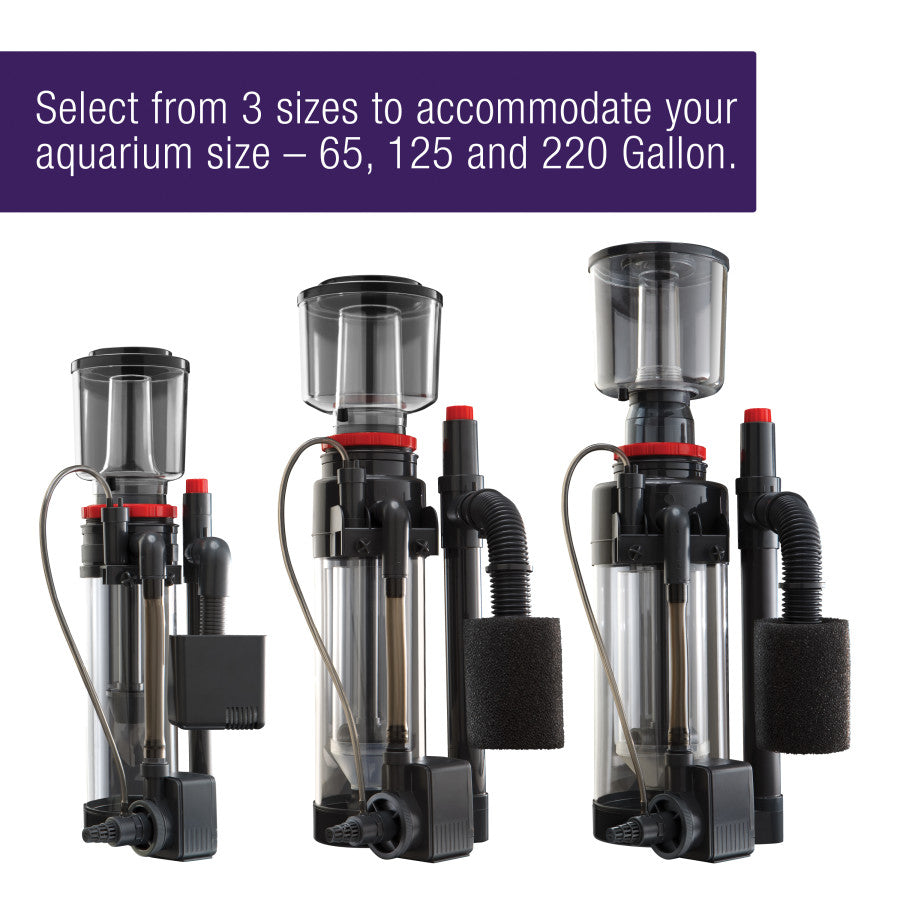 1ea/Up To 125 gal