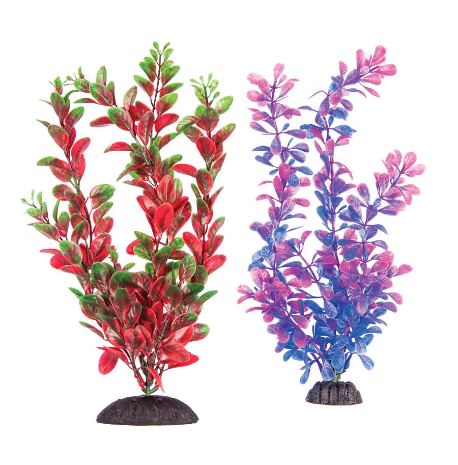 Purple/Pink, Red/Green, 1ea/10 in, 2 pk