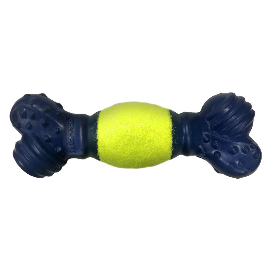 Play 'n Fetch, 1ea/One Size (1 ct)