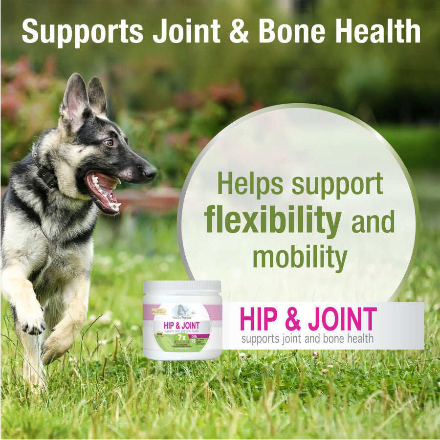 Hip & Joint, 1ea/72 ct