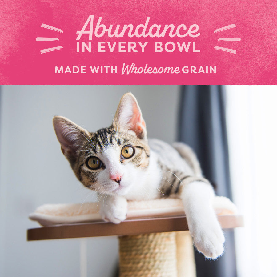 Chicken & Salmon, 1ea/6 lb