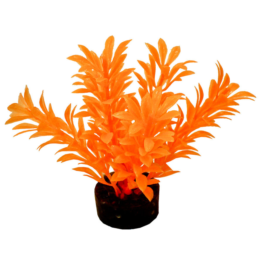 Neon Orange, 1ea/4 in