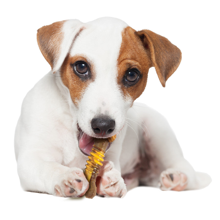 Philly Cheesesteak, 1ea/SMall/Regular (1 ct)