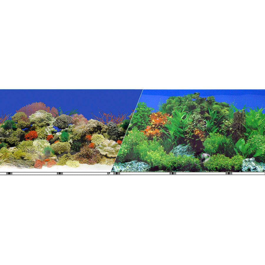 Freshwater Garden & Caribbean Coral Reef, 1ea/19 in X 50 ft