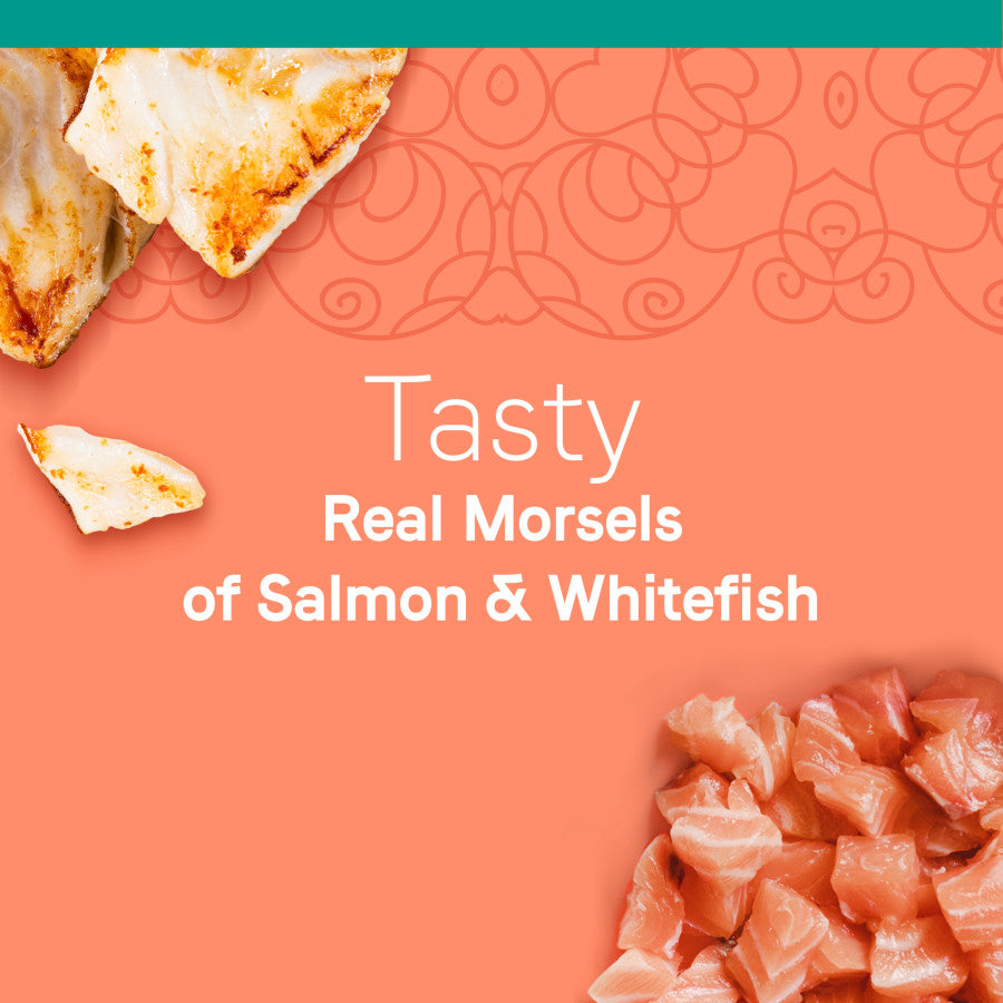 Salmon & Whitefish in Broth, 24ea/2.46 oz
