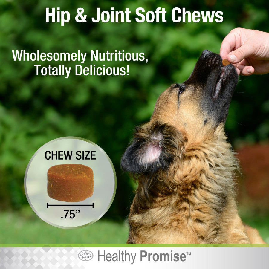 Hip & Joint, 1ea/96 ct