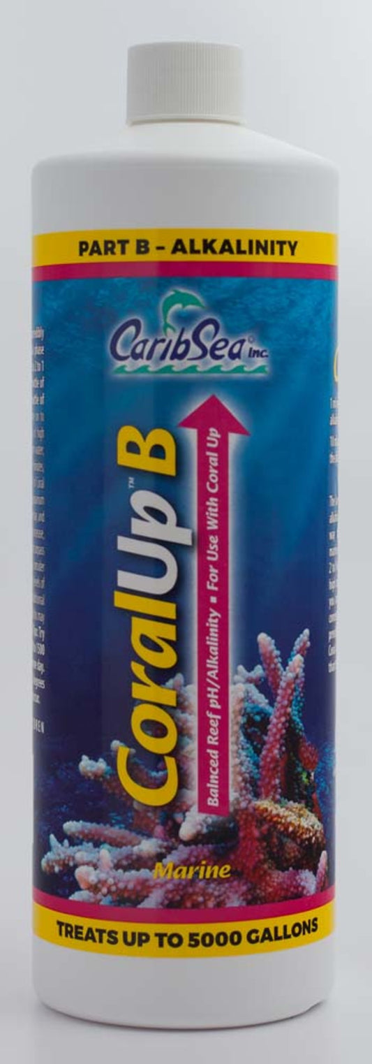 1ea/32 fl oz