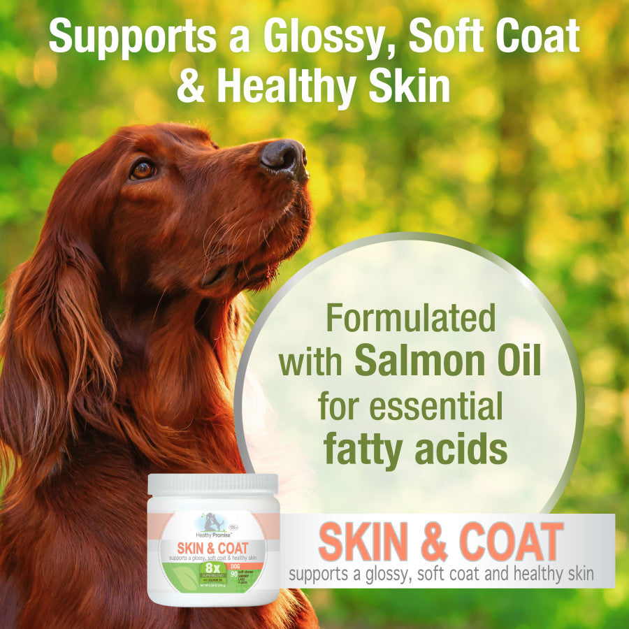 Skin and Coat, 1ea/90 ct