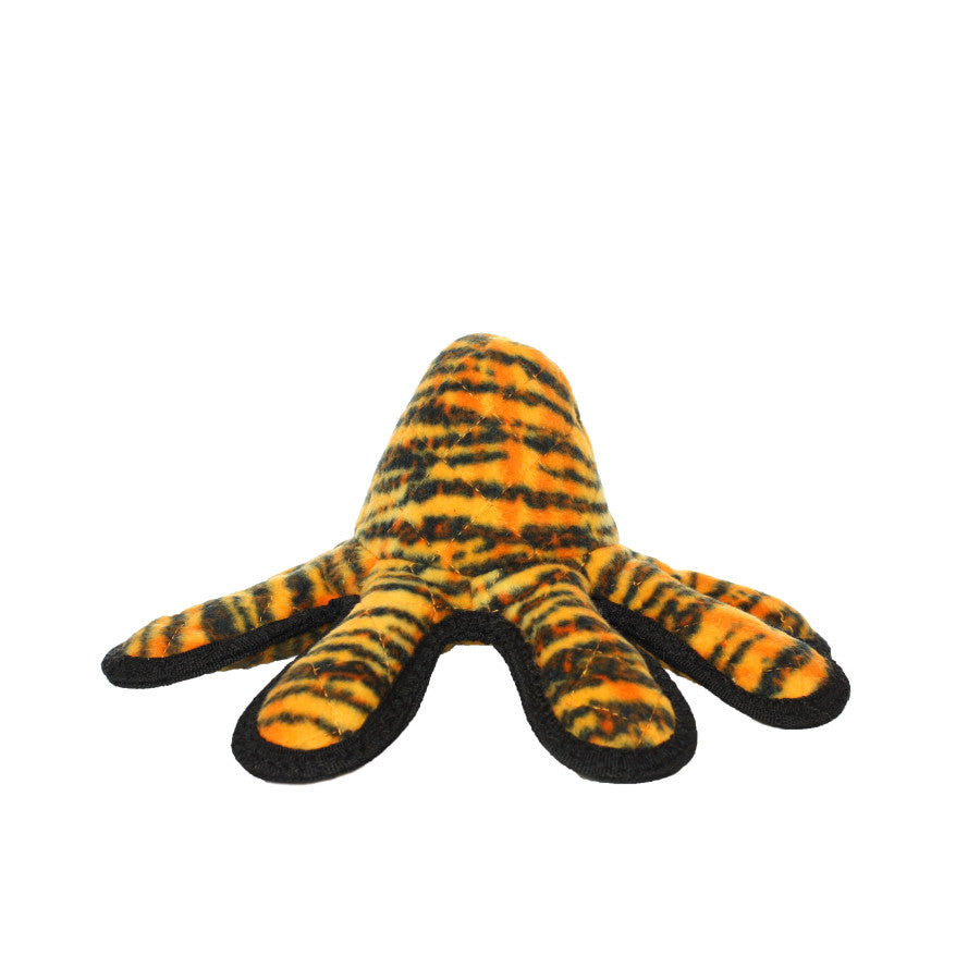 Orange Tiger, 1ea/12 in, SM