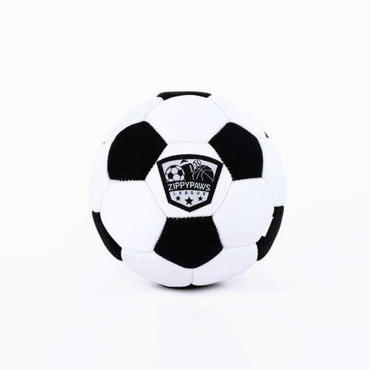 Soccer, 1ea/MD