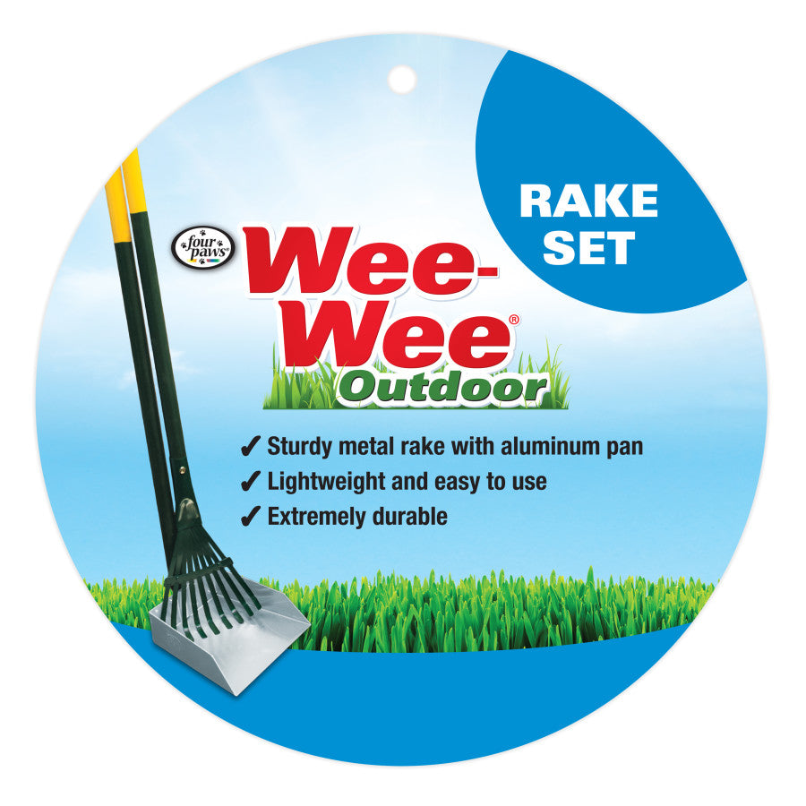 Rake & Pan Set, 1ea/SMall, 7 in X 7 in X 38 in