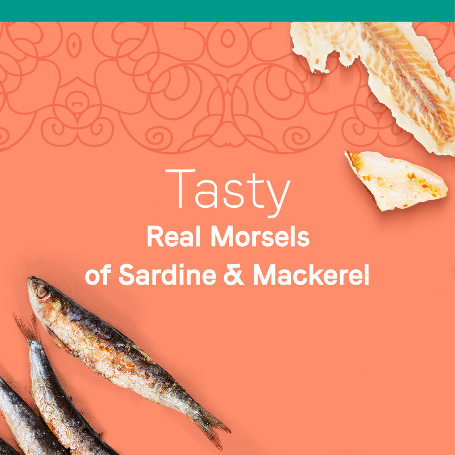 Sardine & Mackerel in Broth, 24ea/2.46 oz