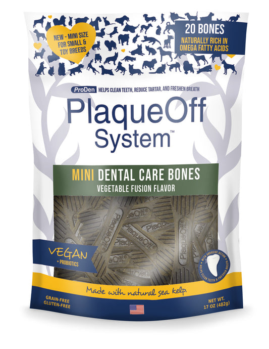 Vegetable Fusion, 1ea/20 ct