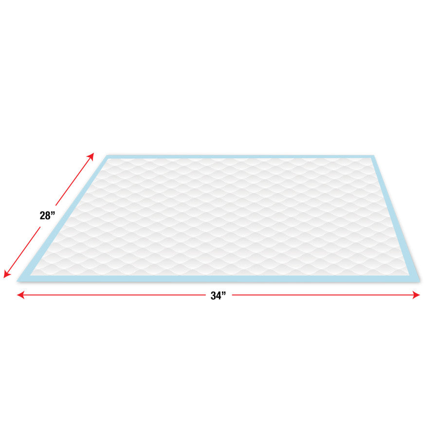 100 Count, 1ea/Standard 22 in X 23 in