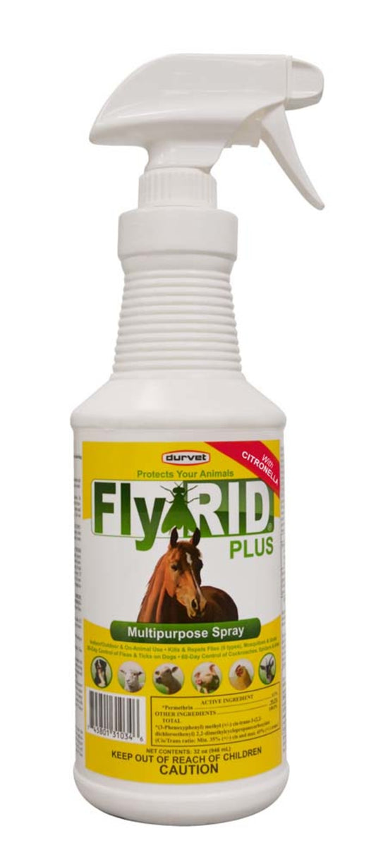 1ea/32 fl oz