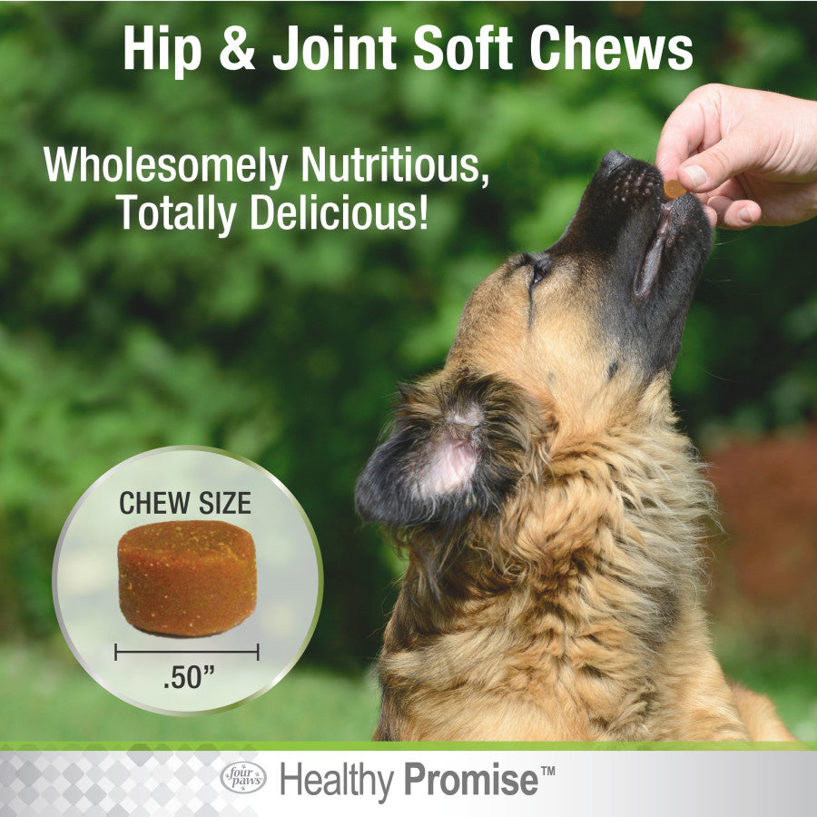 Hip & Joint, 1ea/72 ct