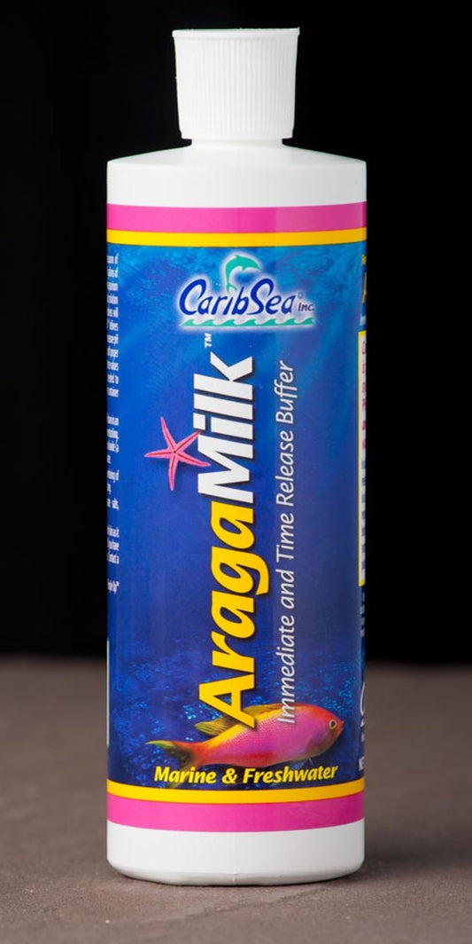 1ea/16 fl oz