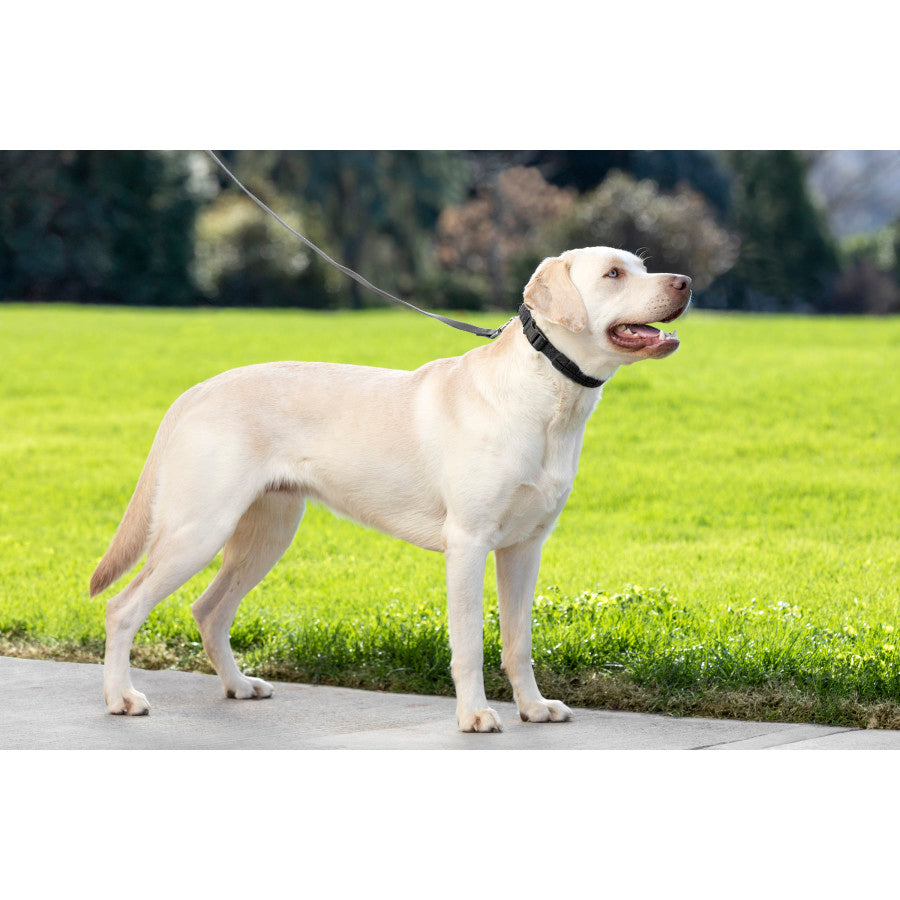 1in wide, Black, 1ea/LG