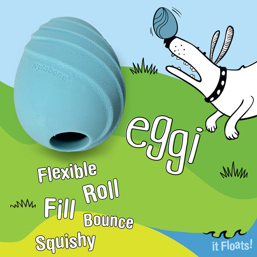 Eggi, 1ea/- Not Intended For Chewing