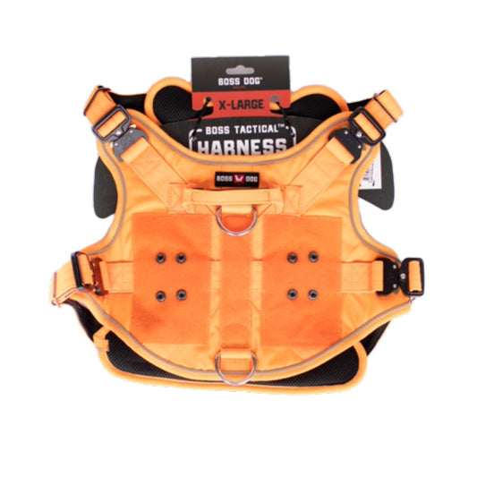 Hunter Orange, 1ea/XL