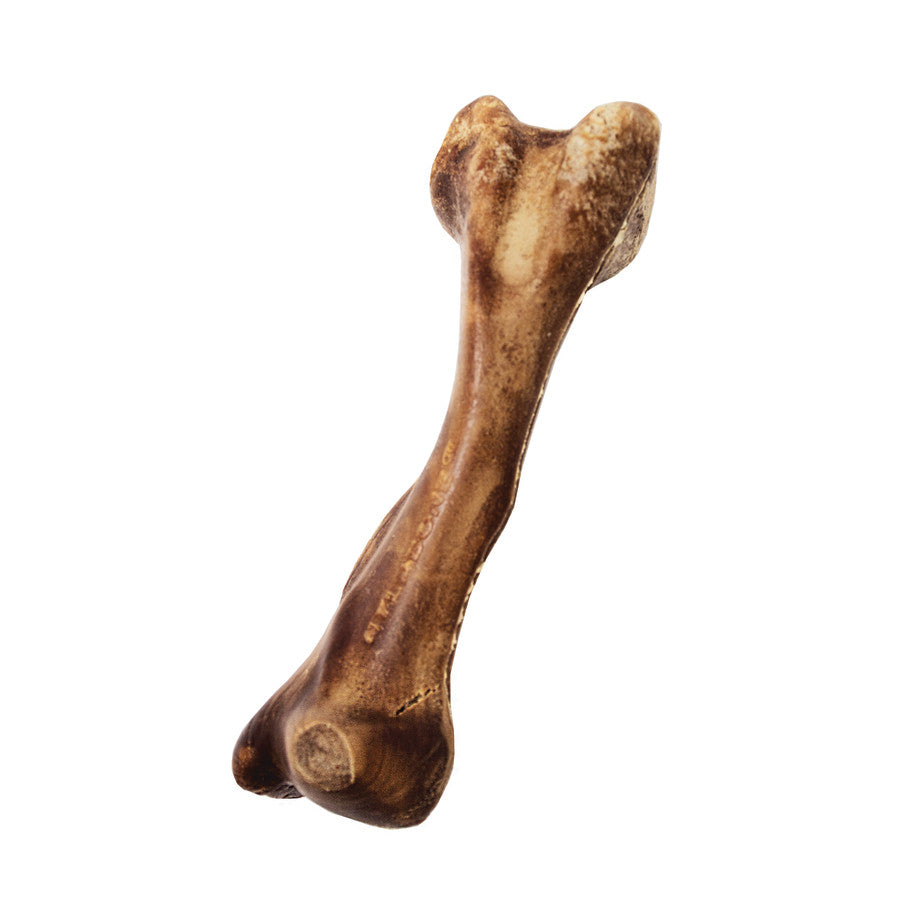 Wild Bone, 1ea/Large/Giant(1 ct)