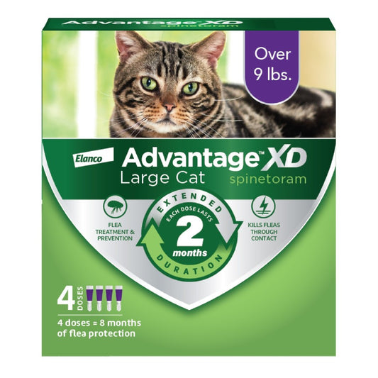 4 doses (8 months of protection), 1ea/LG Cats (Over 9Lbs)