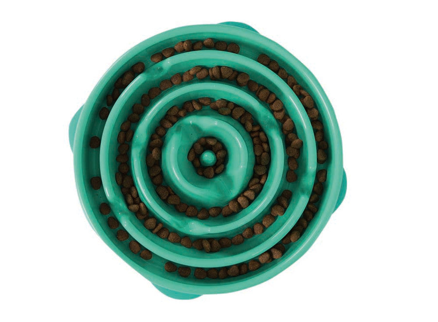 Turquoise, 1ea/LG