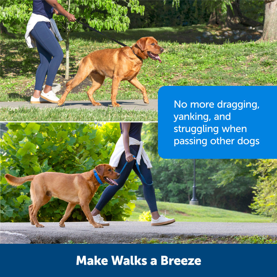 1in wide, Royal Blue, 1ea/LG