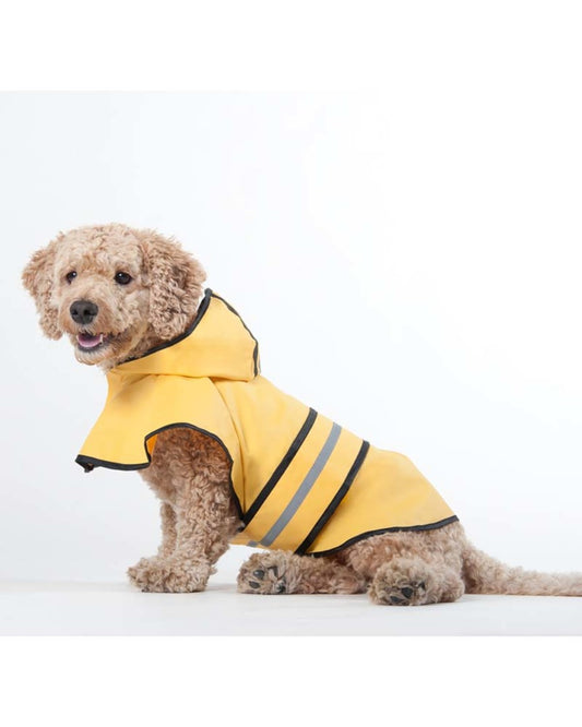 Yellow, 1ea/XXL