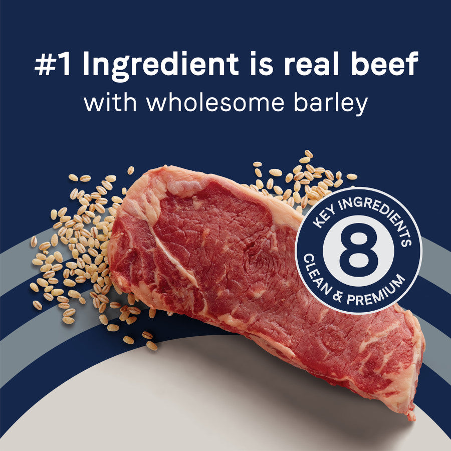Beef & Barley, 1ea/24 lb