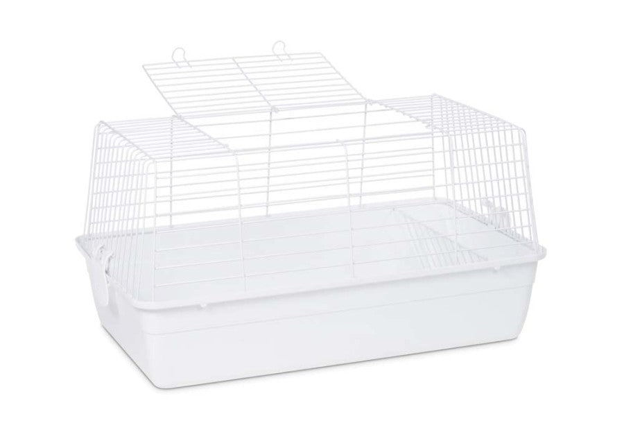 Gray/White, 4ea/4 pk, SM