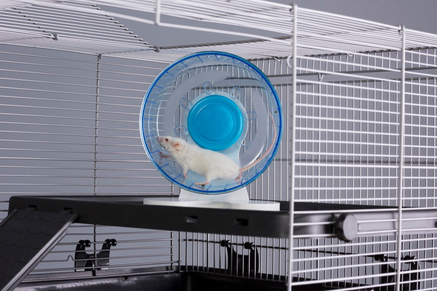 For Mouse/Gerbil, Translucent Blue, White, 1ea/6 in